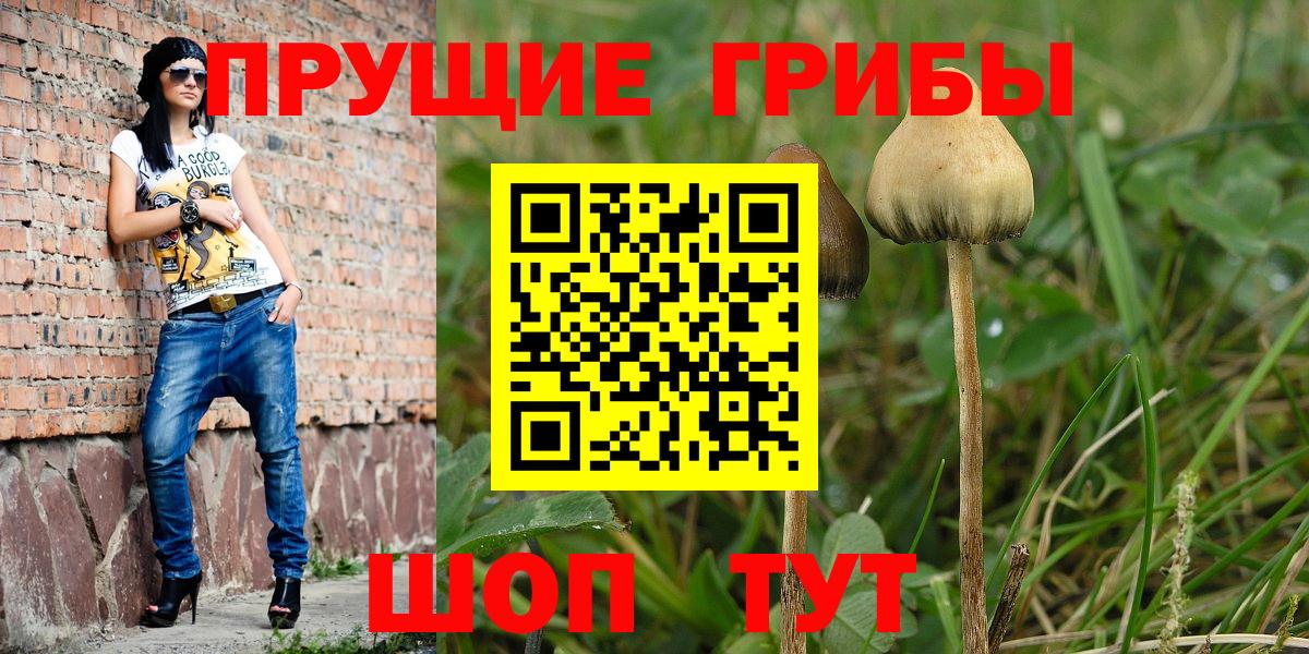 Галлюциногенные грибы Cubensis Хабаровск