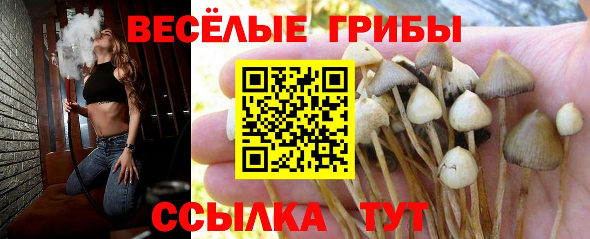 Псилоцибиновые грибы GOLDEN TEACHER  Галлюциногенные грибы Magic Shrooms  Вход с VPN  Хабаровск 